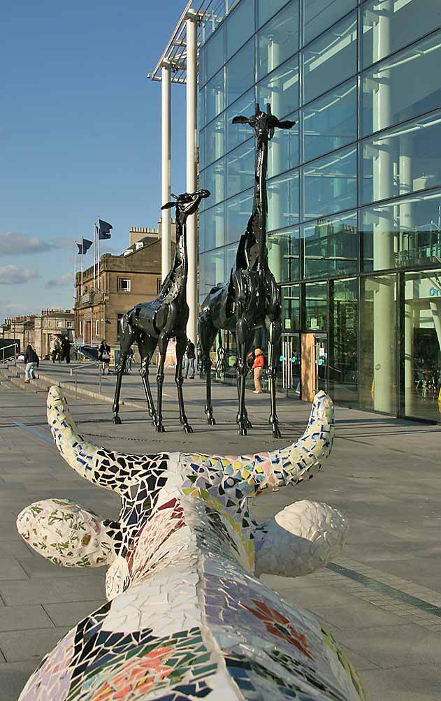 Edinburgh Cow Parade  -  2006  -  Ocean Terminal