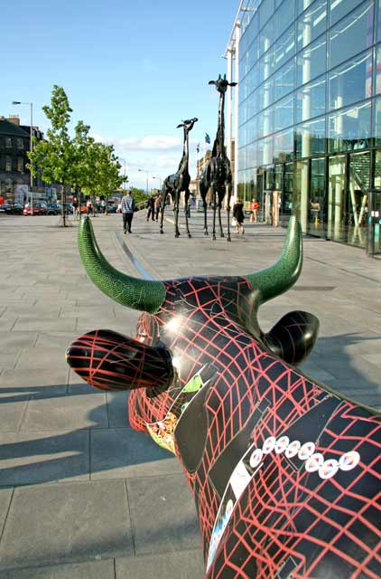 Edinburgh Cow Parade  -  2006  -  Ocean Terminal