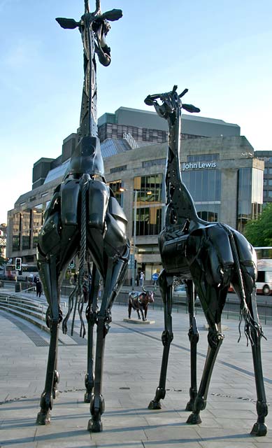 Edinburgh Cow Parade  -  2006  -  Ocean Terminal