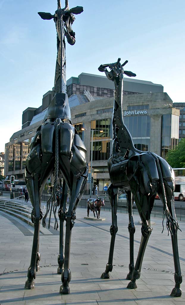 Edinburgh Cow Parade  -  2006  -  Ocean Terminal