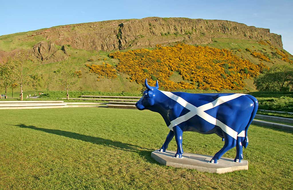 Edinburgh Cow Parade  -  2006  -  Ocean Terminal