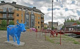 Edinburgh Cow Parade  -  2006  -  Leith Docks