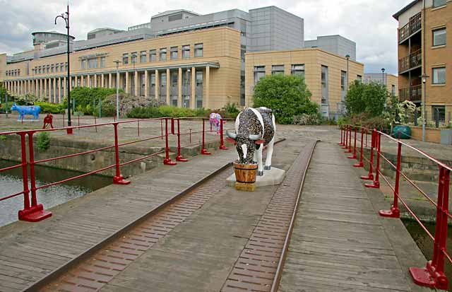 Edinburgh Cow Parade - 2006 - Leith Docks