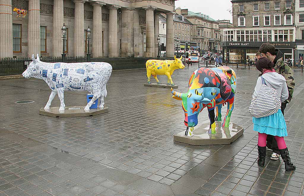 Edinburgh Cow Parade  -  2006  -  The National Galleries