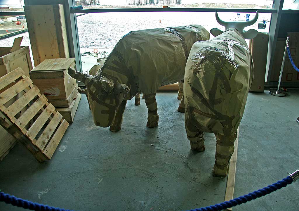 Preparing for Edinburgh Cow Parade  -  2006