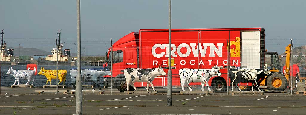 Ready for transport to Edinburgh Cow Parade - 2006