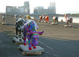 Ready for transport to Edinburgh Cow Parade  -  2006