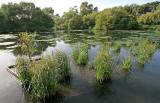 Figgate Pond, Portobello - September 2009