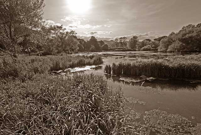 Figgate Pond, Portobello  -  September 2009