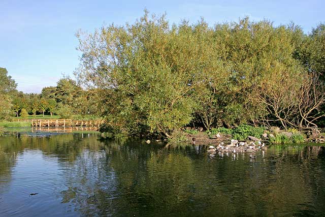 Figgate Pond, Portobello  -  September 2009