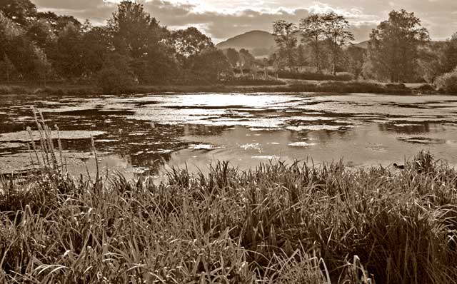 Figgate Pond, Portobello  -  September 2009