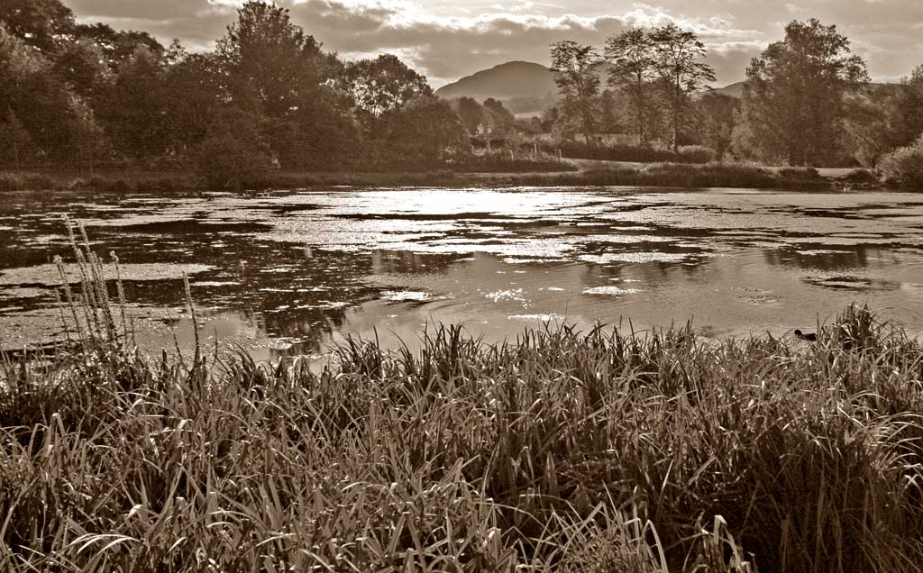 Figgate Pond, Portobello  -  September 2009