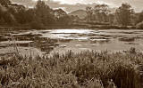 Figgate Pond, Portobello - September 2009