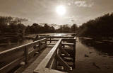 Figgate Pond, Portobello - September 2009