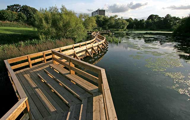 Figgate Pond, Portobello  -  September 2009