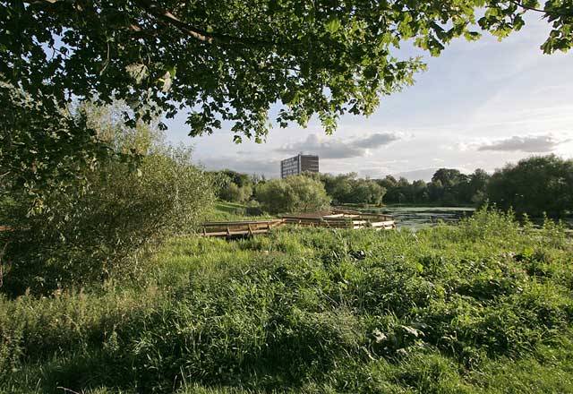 Figgate Pond, Portobello  -  September 2009