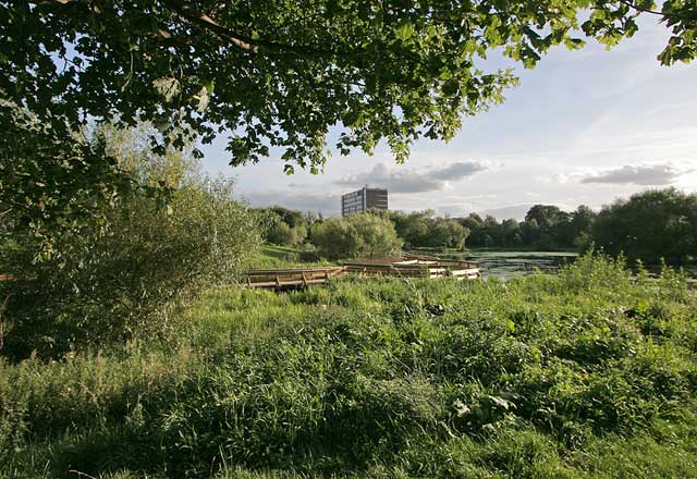 Figgate Pond, Portobello  -  September 2009