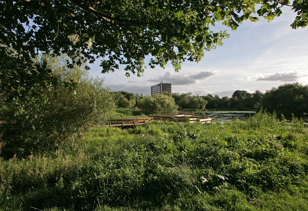 Figgate Pond, Portobello  -  September 2009