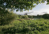 Figgate Pond, Portobello - September 2009