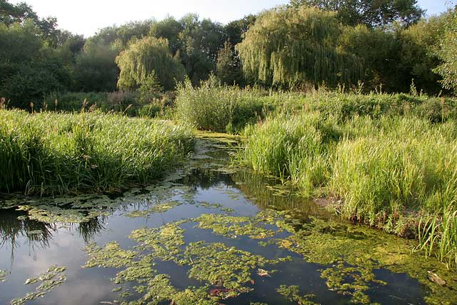 Figgate Pond, Portobello  -  September 2009