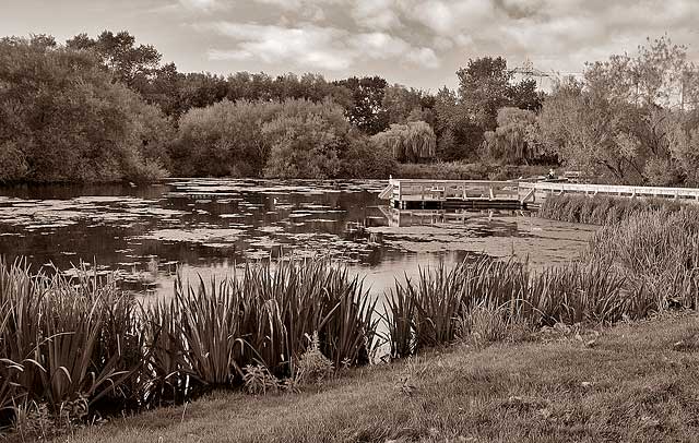 Figgate Pond, Portobello  -  September 2009