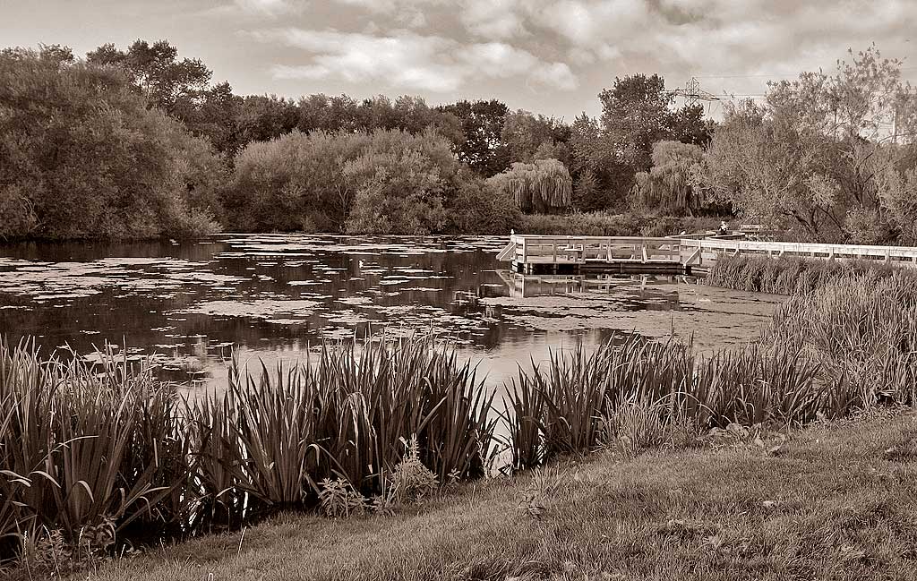 Figgate Pond, Portobello  -  September 2009