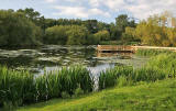 Figgate Pond, Portobello - September 2009