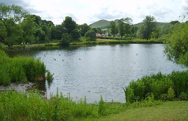 Figgate Pond, Portobello  -  July 2008