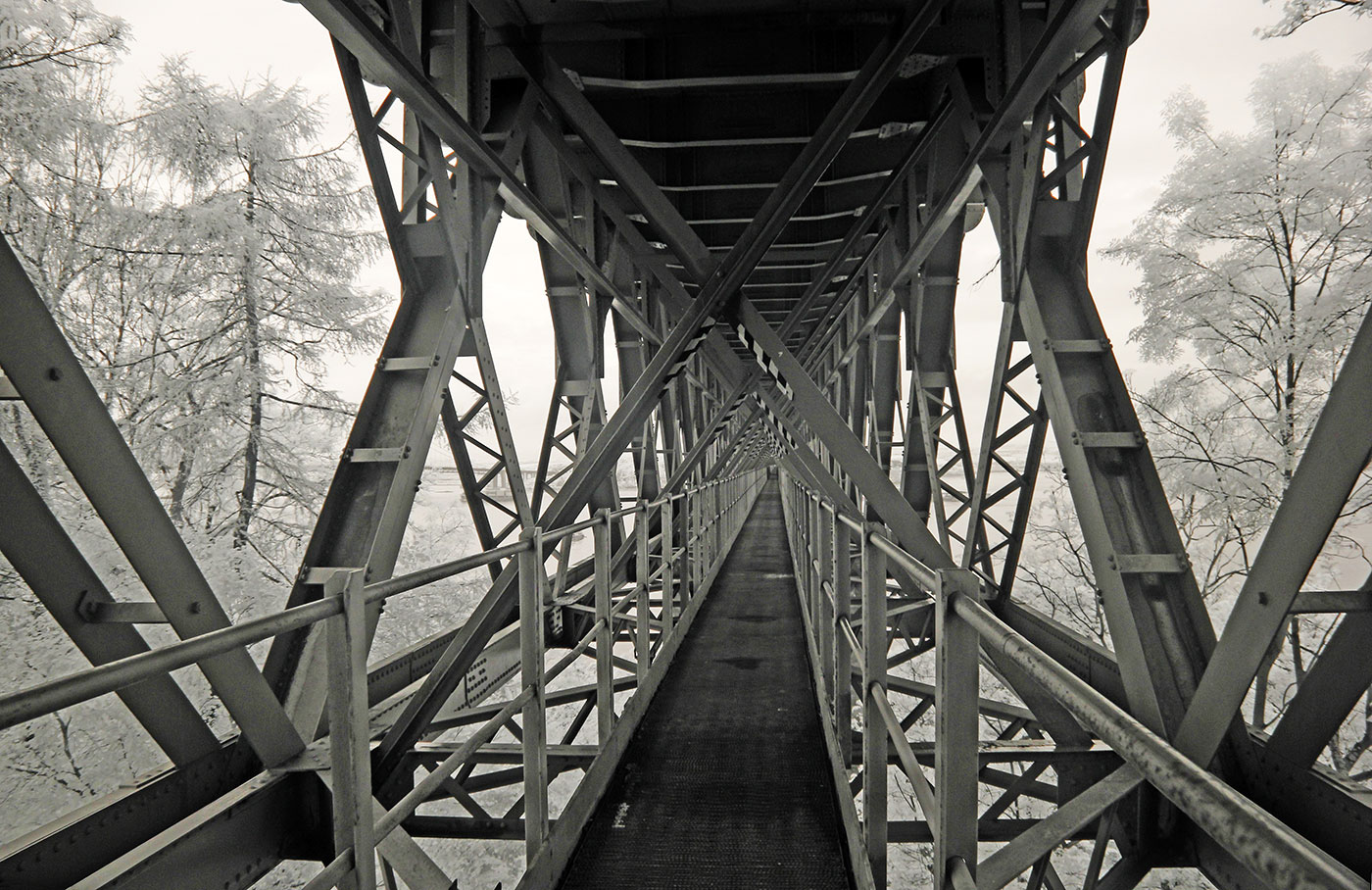 Infra-red Photo  -  The Forth Bridge  -  June 2014