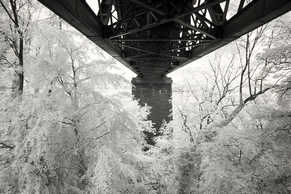 Infra-red Photo  -  The Forth Bridge  -  June 2014