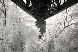 Infra-red Photo  -  The Forth Bridge  -  June 2014 