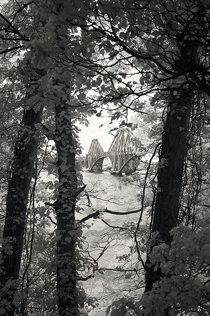 Infra-red Photo  -  The Forth Bridge  -  June 2014