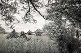 Infra-red Photo  -  The Forth Bridge  -  June 2014 