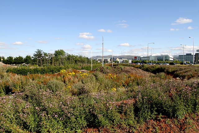 Gogar Junction  -  The route of the new tram line to the east towards South Gyle