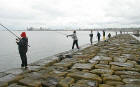 Fishing for mackerel from Granton Eastern Breakwater  -  July 9, 2006