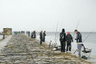 Fishing for mackerel from Granton Eastern Breakwater  -  July 9, 2006