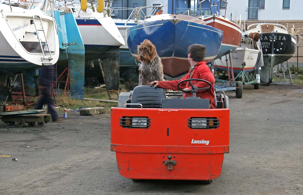 Granton Harbour - October 27, 2007  -  The day that boats were lifted out of the harbour for the winter