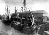 Sailing Trawlers at Granton Middle Pier 