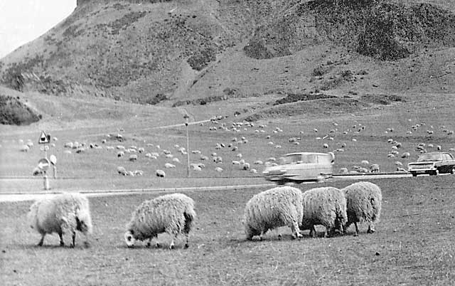 The Radical Road beneath Salisbury Crags  -  photograph taken by Wullie Croal