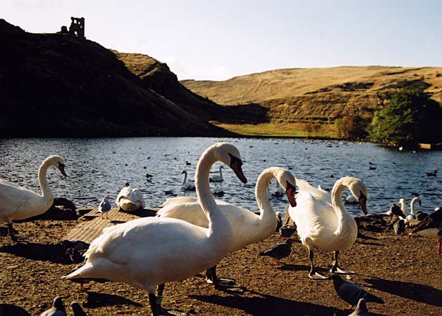 Queen's Park  -  St Margaret's Loch and St Anthony's Chapel   -  Photograph taken 2 November 2003