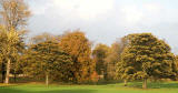 Inch Park  -  Photographed 2 November 2005