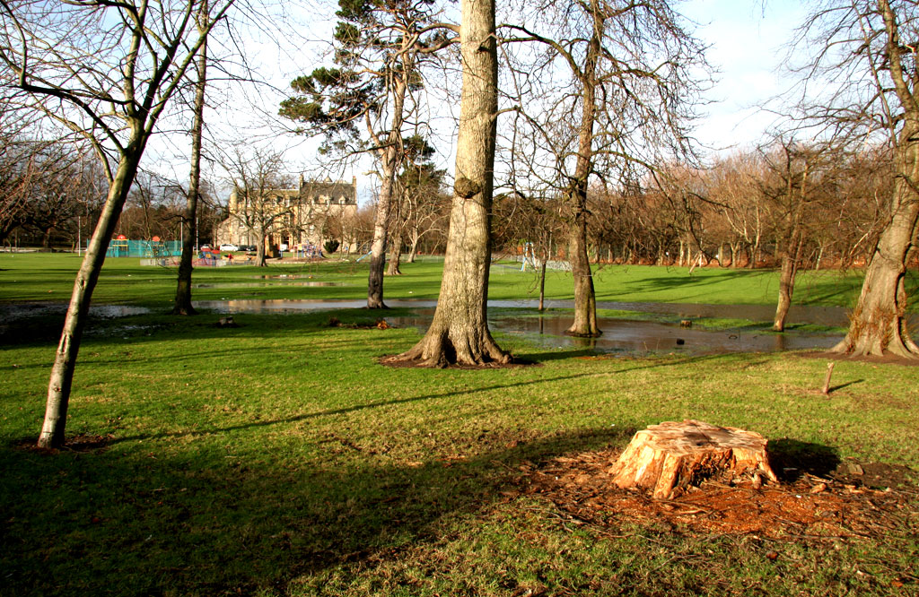 Inch Park  -  January 2008