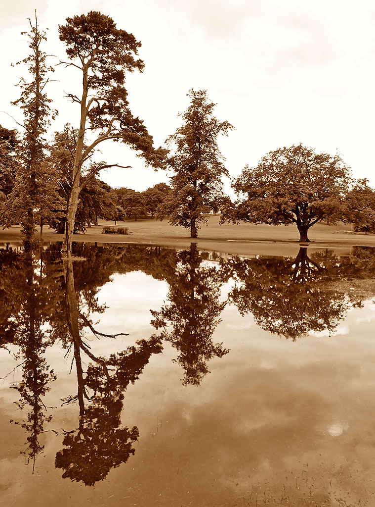 Inch Park, Liberton  -  August 2008  -  Flood in the Park