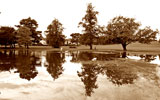 Inch Park, Liberton  -  August 2008  -  Flood in the Park