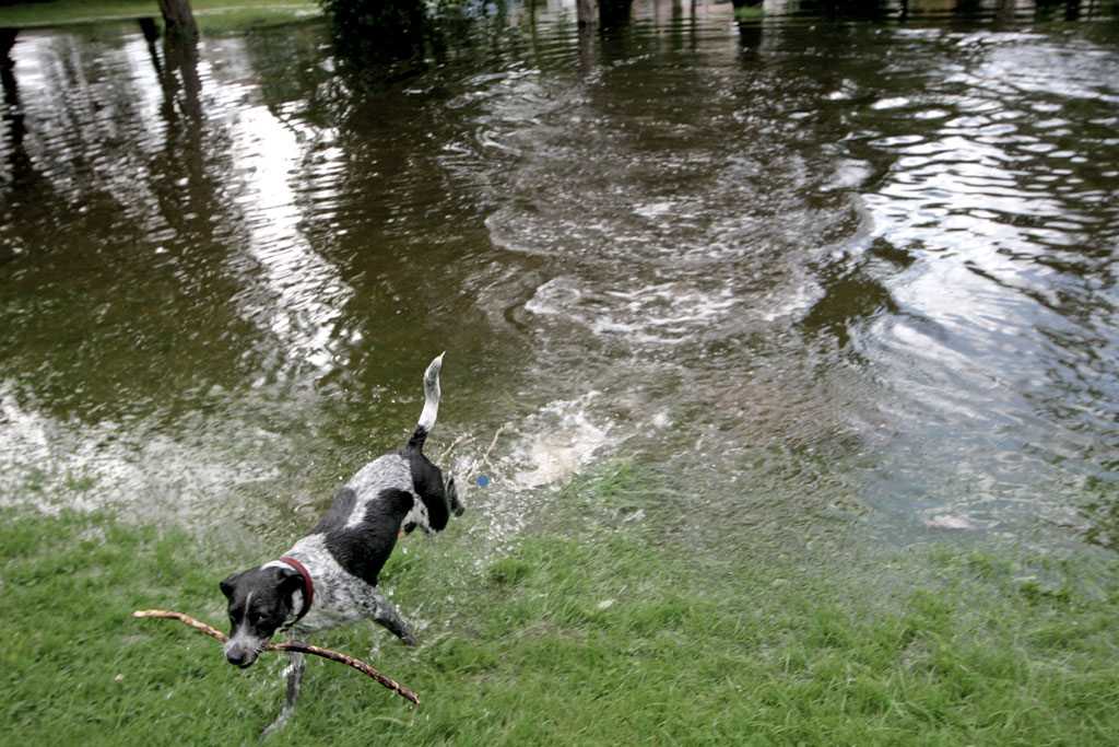 Inch Park, Liberton  -  August 2008  -  Flood in the Park