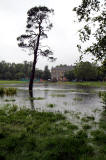 Inch Park, Liberton  -  July 2012   -  Still Raining