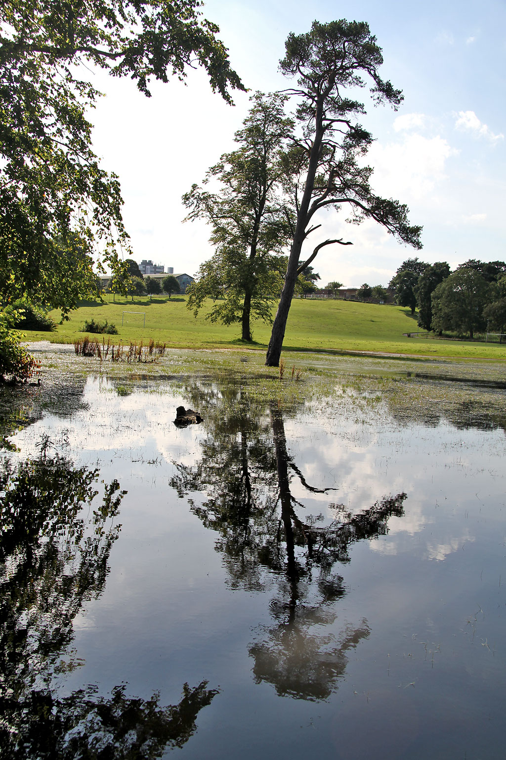 Inch Park, Liberton  -  August 2012 following heavy rain