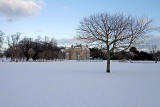 Tree near the SW corner of Inch Park