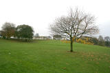 Tree near the SW corner of Inch Park