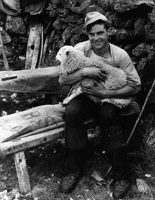 Sheep Shearer in Kirkcudbrightshire in the 1960s  -  One of the photographs by David Innes on display in an exhibition at the Royal Museum, Edinburgh, 2004